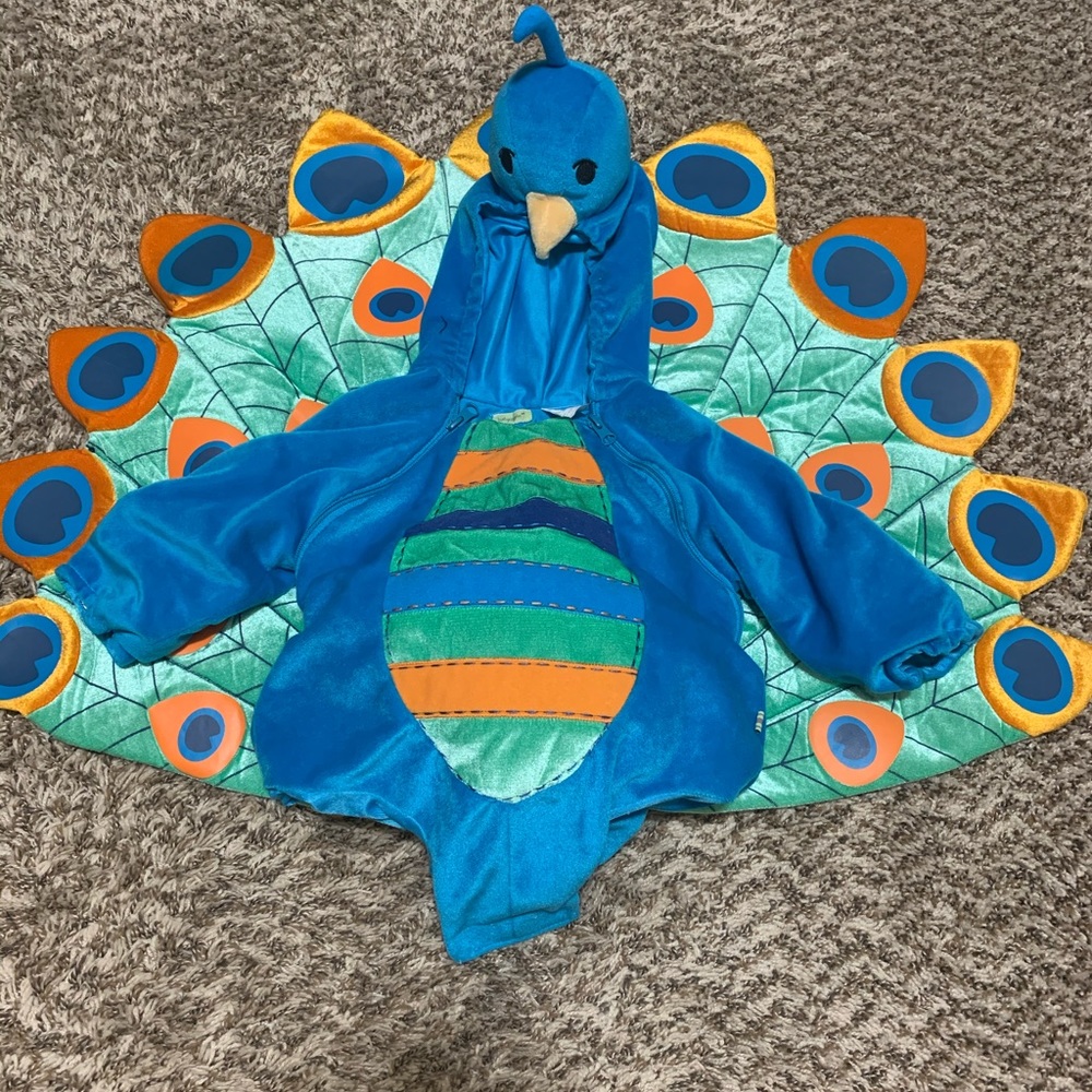 Baby peacock costume